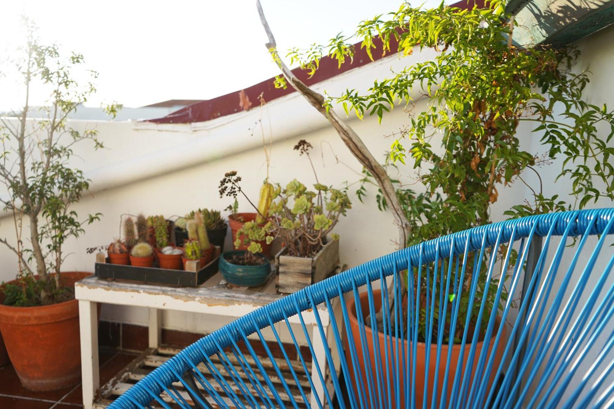 Hotel Vic Aveiro Arts House Extérieur photo